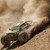ARRMA #ARA4312V4T2 Big Rock 4X4 V4 223S DSC 1/10 RTR Brushless 4WD Monster Truck (Green) w/SLT3 2.4GHz Radio