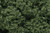 Woodland Scenics #FC58 Foliage Clusters Medium Green