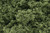 Woodland Scenics #FC57 Foliage Cluster Light Green
