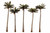 Woodland Scenics #TR3598 Palm Trees