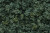 Woodland Scenics #FC136 Underbrush Medium Green