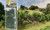 Woodland Scenics #FS638 Briar Patch-Medium Green