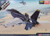 Academy #12535 1/72 USN F/A-18 F "VFA-103 Jolly Rogers"