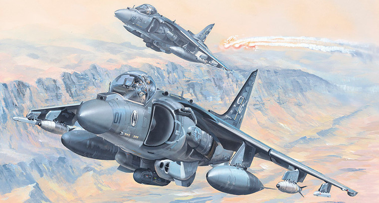 Hobby Boss #81804 1/18 AV-8B Harrier II