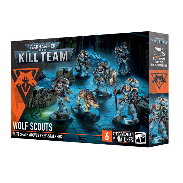 Warhammer #102-11 Kill Team-Wolf Scouts