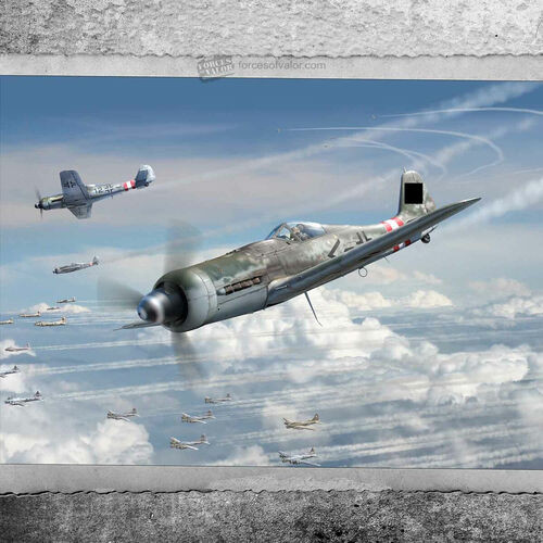 Forces of Valor #873012A 1/72 German FW 190 D-9