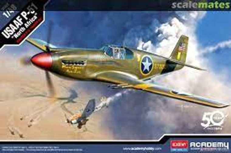 Academy #12338 1/48 USAF P-51 "North Africa"