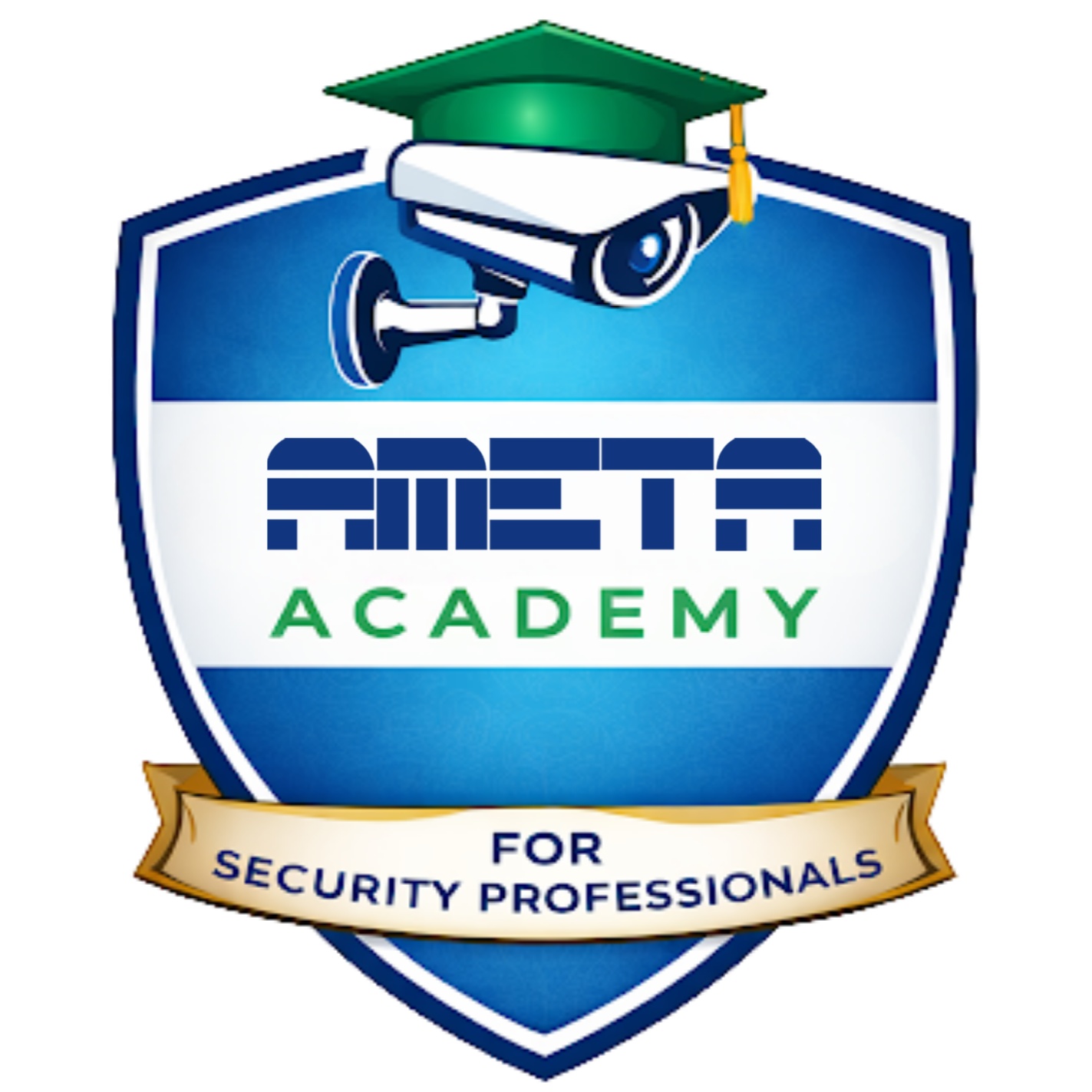 Ameta Academy logo