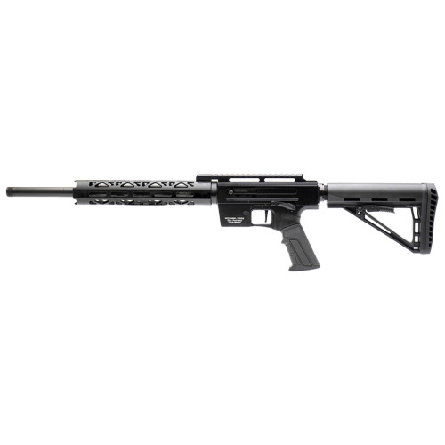 Derya TM22 Pro 16" .22LR Semi-Auto - Black