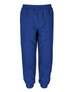 Blue track pants with an elastic waistband and cuffed legs, featuring a logo on the side.
