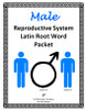Male Reproductive System Latin Root Word Packet
