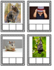 Phonemic Awareness Picture Cards for CVC Words