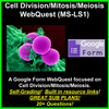 Cell Division/Mitosis/Meiosis WebQuest (MS-LS1) Great sub plans or distance ed!