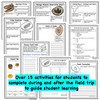  FREE: Fossils - Rock Cycle-  Virtual Field Trip - Google Classroom Version