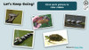 Turtles Informational Text Reading Passage and Activities