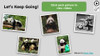 Pandas Informational Text Reading Passage and Activities