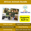 African Animals  Informational Text Reading Passage and Activities BUNDLE