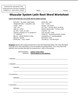 Muscular System Latin Root Word Worksheet