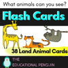 Flash Cards: Land Animals