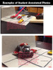 Newton's Laws of Motion Project Car Crashes