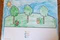 Color Activities