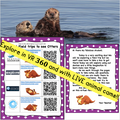 Google Version- Virtual Field Trip to the Otters