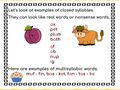 Syllable Types: Open & Closed Syllables Distance Learning Activities (Remote Ready Resource)