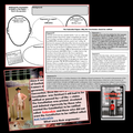 U.S. Government | Federalist V. Anti-Federalist | Presentation & Student Activity 