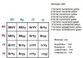 Classical Genetics Learning Activities (Distance Learning)