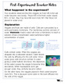 Cell Organelles Activity | Distance Learning for Google Slides™ + print version