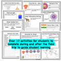 FREE Diwali in India- Holidays Around the World Virtual Field Trip