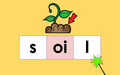 Distance Learning Structured Phonics -OI & -OY Words Slides Presentation (Remote Ready Resource)