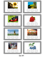 Phonological Awareness Picture Cards for Three-Syllable Words