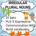 Irregular Plural Nouns + Concepts 1, 2, 3