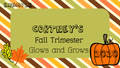 Glows and Grows Conference Reflection Powerpoint Digital and Printable