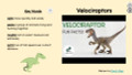 Dinosaurs Informational Text Reading Passage and Activities BUNDLE