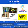 Birds Informational Text Reading Passage and Activities BUNDLE