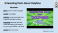 Dolphins Informational Text Reading Passage and Activities