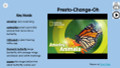 Monarch Butterflies Informational Text Reading Passage and Activities