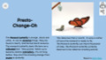 Monarch Butterflies Informational Text Reading Passage and Activities