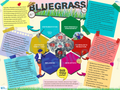 Bluegrass - Quick Outline