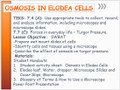 Osmosis in Elodea Cells