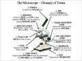 Introduction to the Microscope