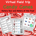 Holiday Fun Virtual Field Trip Pack  Discount Bundle