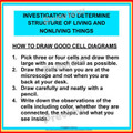 Investigation to determine structure of living and nonliving things MS-LS1-1