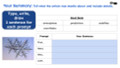 Snowflakes Informational Text Reading Passage and Activities
