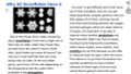 Snowflakes Informational Text Reading Passage and Activities