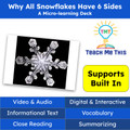 Snowflakes Informational Text Reading Passage and Activities