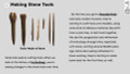 Stone Age Tools  Informational Text Reading Passage and Activities