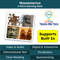 Mesoamerica Informational Text Reading Passage and Activities